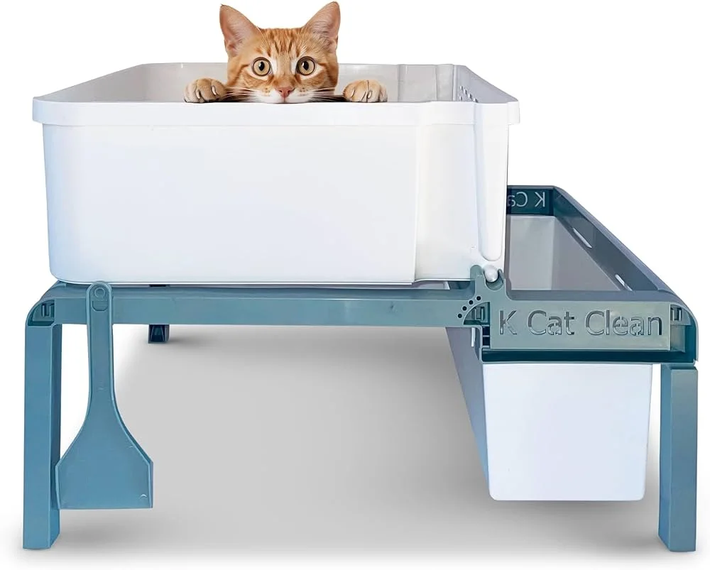 Kedi Tuvaleti Nasıl Temizlenir?