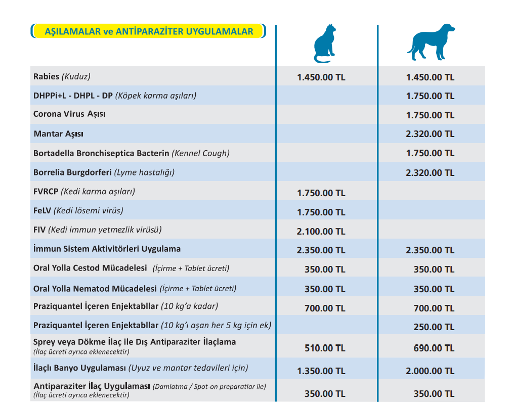 İstanbul Kedi Aşı Fiyatları 2025