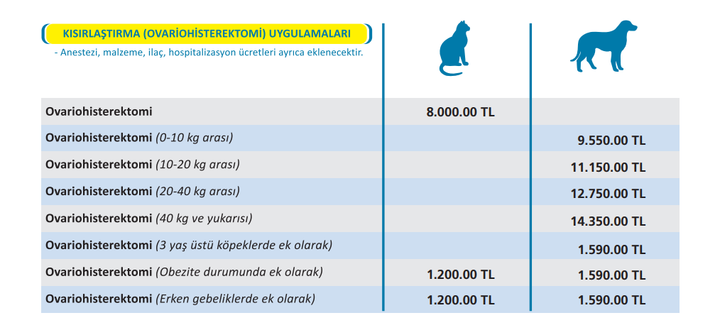 İstanbul kedi kısırlaştırma ücreti 2025