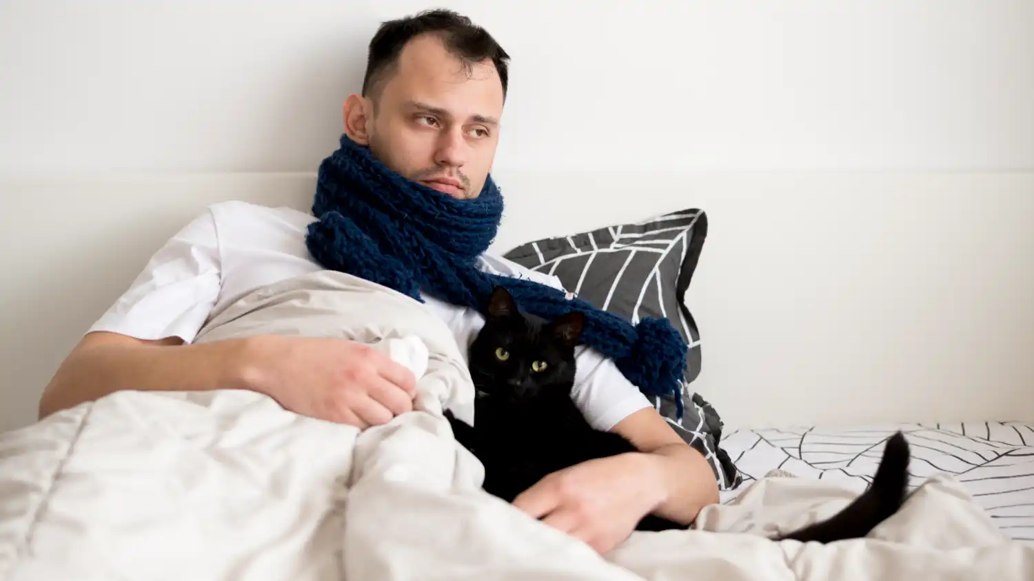 Kedi gribi insana geçer mi?