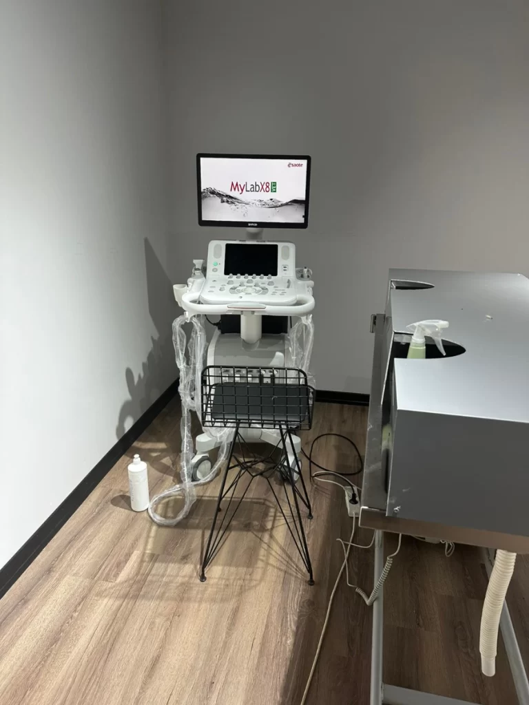 Kedi ultrason cihazı