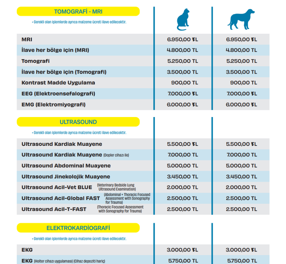 İstanbul kedi ultrason fiyatları 2026