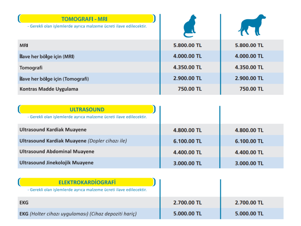 Kedi ultrason fiyatları