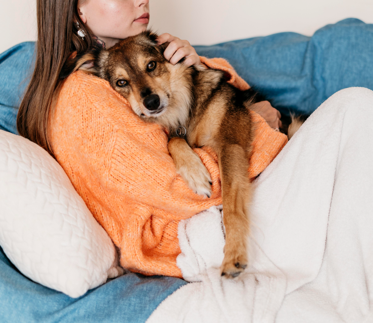 Köpeklerde els hastalığı 