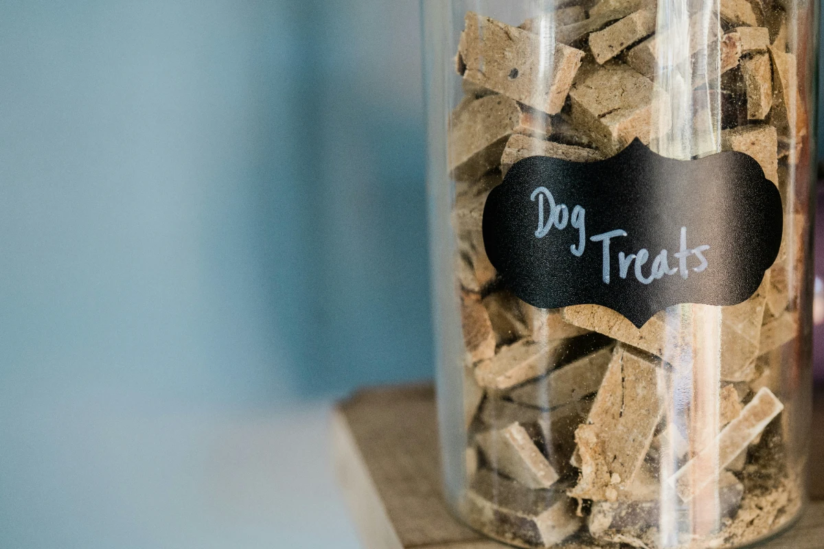 Evde köpek maması nasıl yapılır?