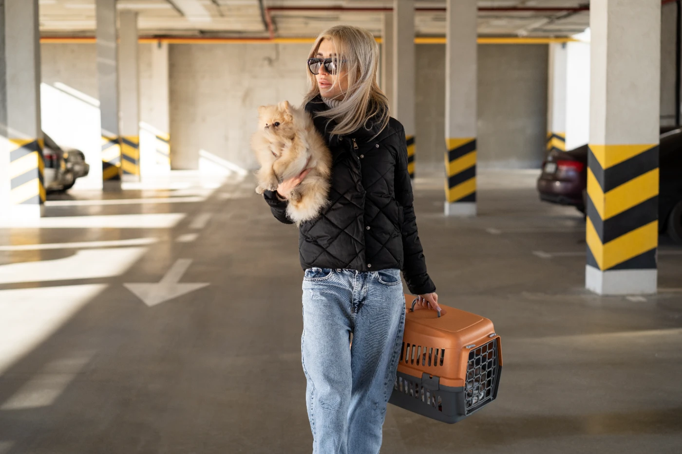 Köpeklerle uçak seyahati